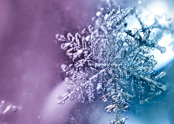 低溫恒溫槽怎么使用以及使用方法