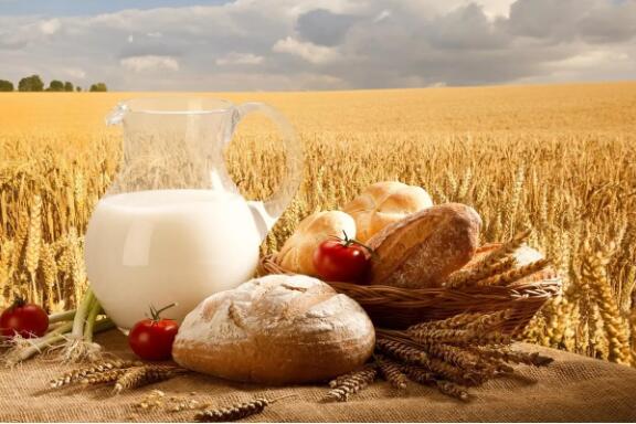 牛奶等乳制品檢測(cè)儀器配置清單