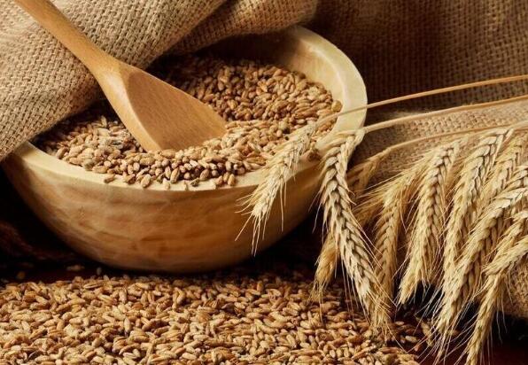 糧油檢測儀器整體配置方案