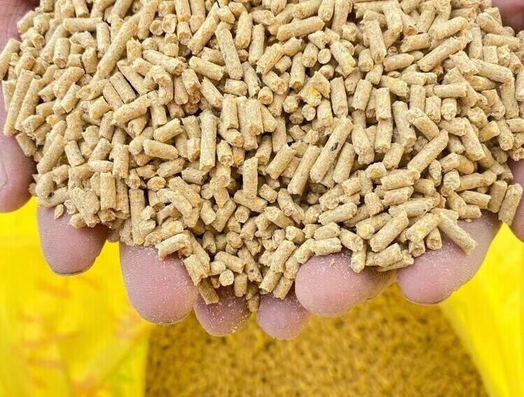 飼料中常規(guī)成分檢測 飼料檢測儀器設(shè)備