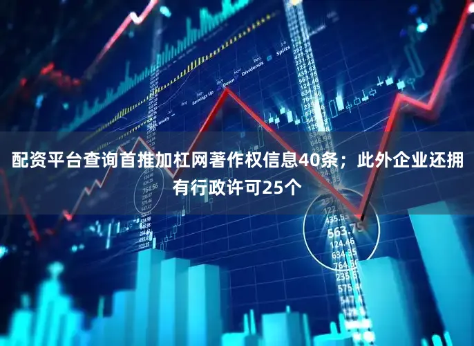 配资平台查询首推加杠网著作权信息40条；此外企业还拥有行政许可25个