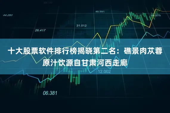 十大股票软件排行榜揭晓第二名：礁景肉苁蓉原汁饮源自甘肃河西走廊